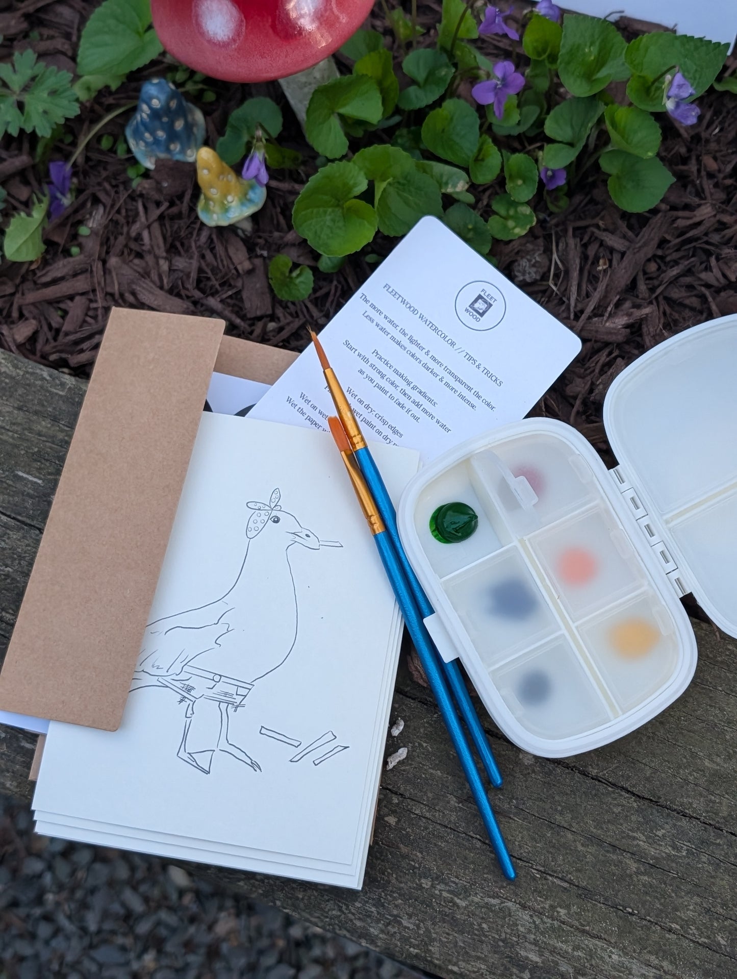 Watercolor Kit by Fleetwood